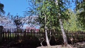 Украшаем двор ,застрял козёл