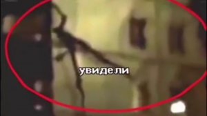 Палочник