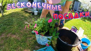 Бесконечные посадки
