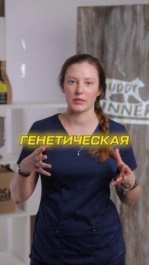 Врач поведенческой медицины про агрессивное поведение собак