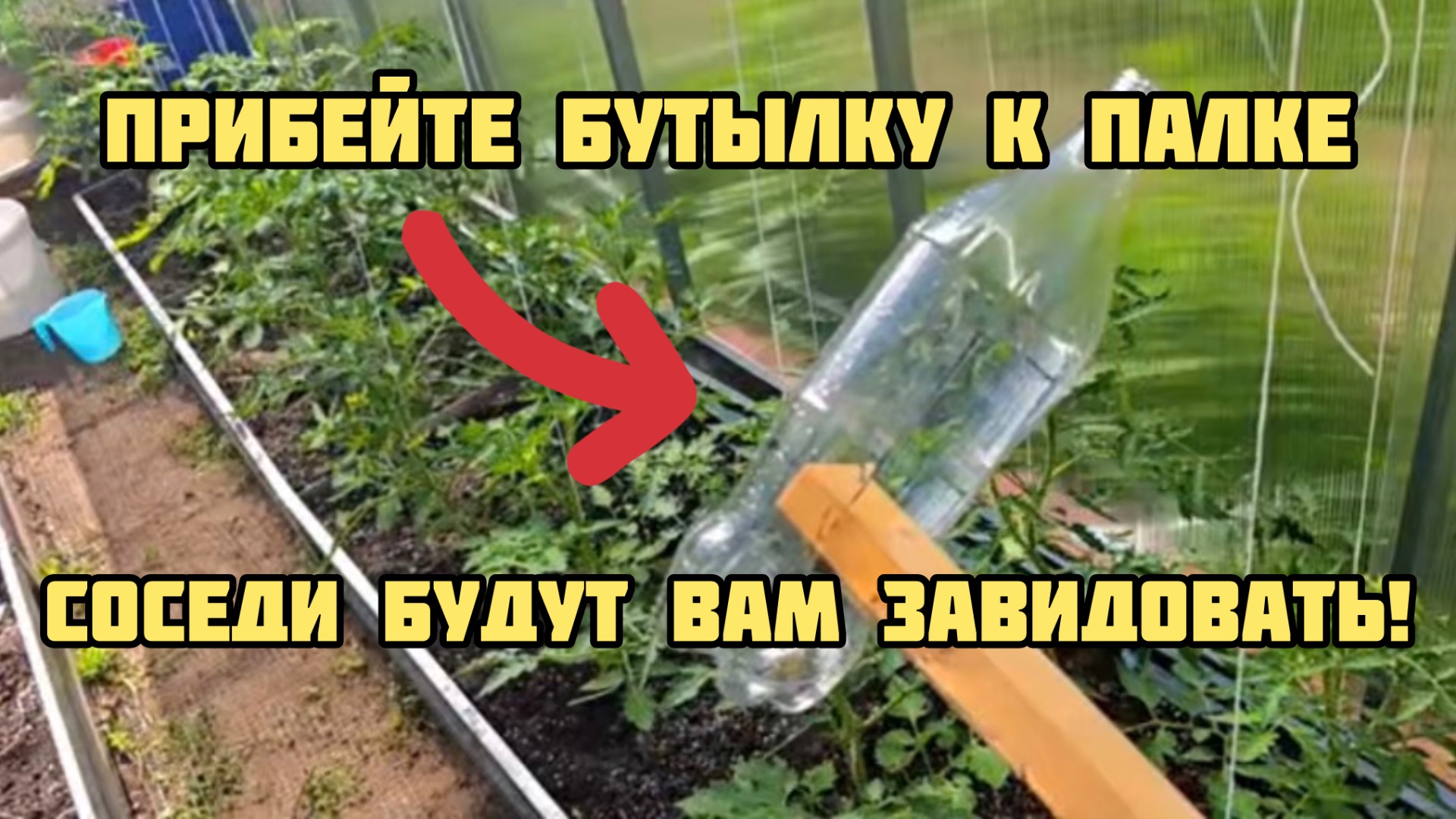 Ваш огород скажет вам спасибо! Прибейте бутылку к палке! Для томатов, перцев и огурцов!