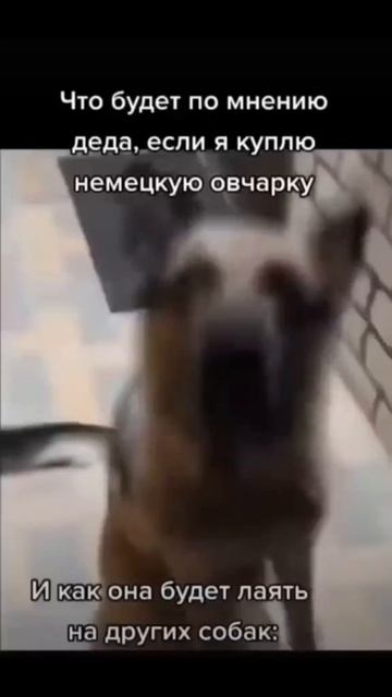 _._._..__...._._._...._______._._. смотреть онлайн