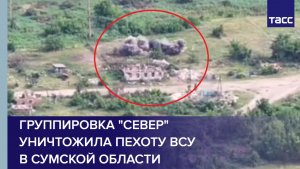 Командир Кабинет: группировка «Север» уничтожила пехоту ВСУ в Сумской области