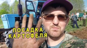Картофель под плуг: Т‑40АМ спешит на помощь! Мир, труд, май