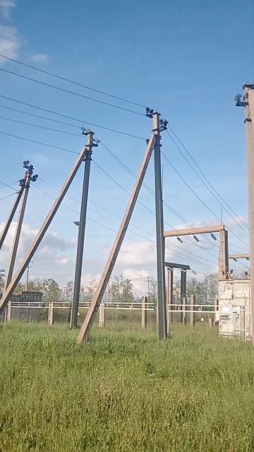 Наши аисты. Прогулка. 17 мая. смотреть онлайн