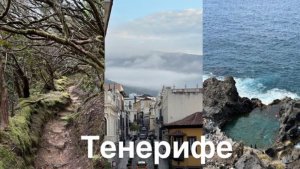 03. Влог | Тенерифе, Испания. Зачарованный лес, столица, пляжи, хайкинг