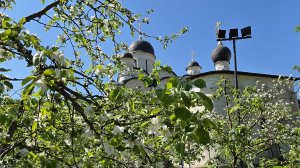 Серпухов. Введенский Владычный монастырь.Торжества. Неупиваемая чаша.