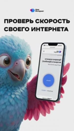 Как проверить скорость интернета?