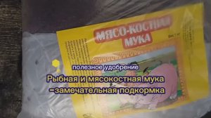 Недорого и с пользой: полезные удобрения для растений - рыбная и мясокостная мука