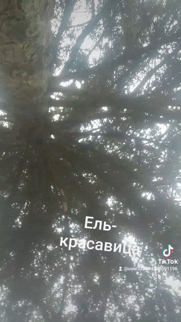 1000026478.mp4