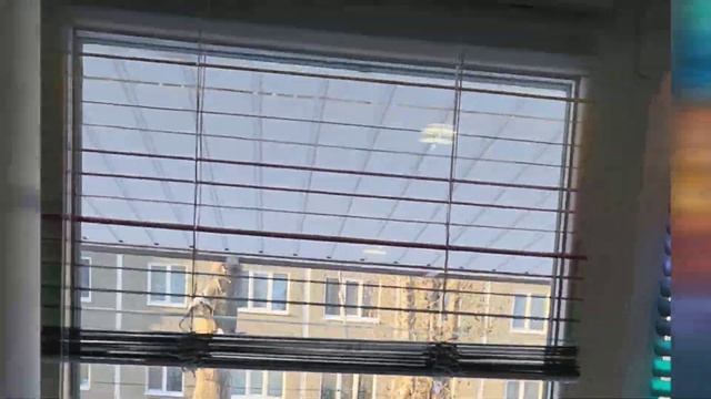 Горизонтальные жалюзи чередование