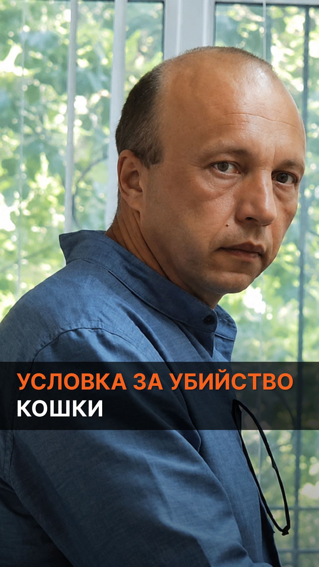 «Условка» за убийство кошки