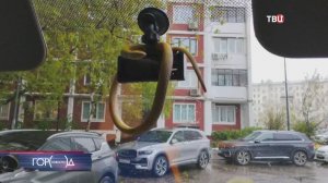 В Москве на дереве обнаружили змею, она оказалась резиновой