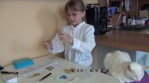 Биология ЛР1