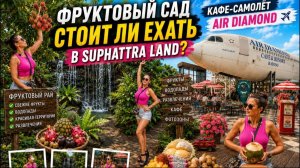 Огромная фруктовая ферма в Таиланде | Стоит ли ехать? Тайская фруктовая ферма превзошла все ожидания