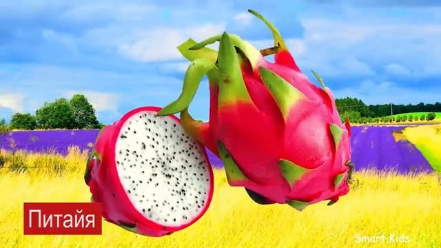 Фрукты ягоды и овощи для детей часть 2 Учим названия Чудо Ягод Фруктов и овощей смотреть онлайн