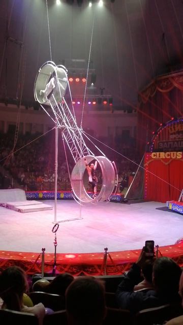Колесо Смерти 🎪