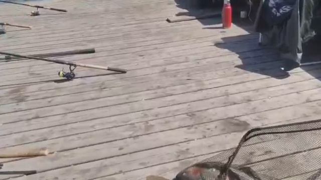 VID_20260518_143221