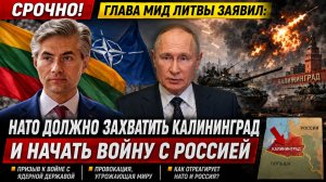 Глава МИД Литвы призвал НАТО захватить Калининград и начать войну с Россией