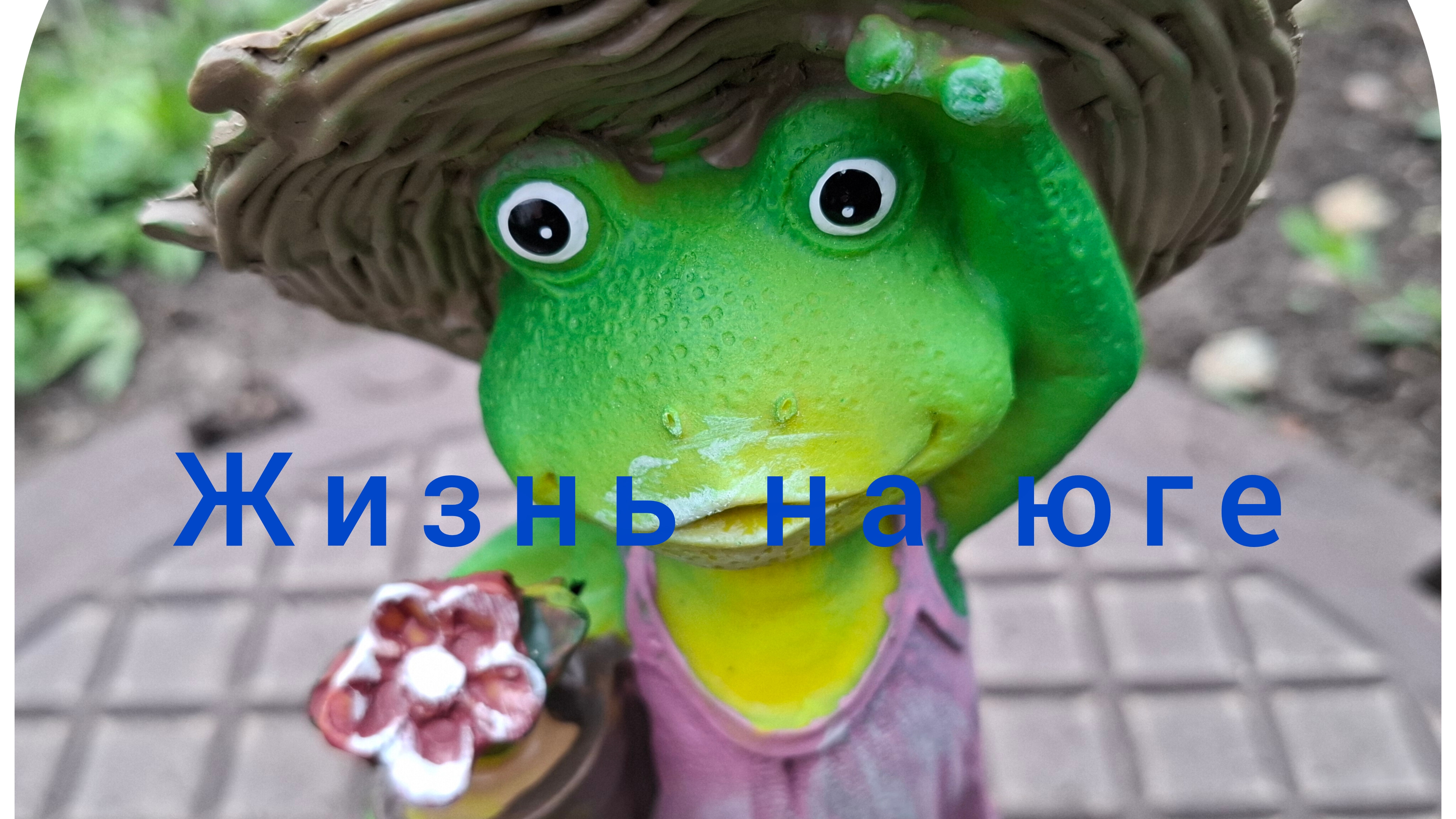 17-05-26/ Пирог с капустой и яйцом/ Ремонт машины/ Садово-огородные дела/Жизнь на юге после переезда