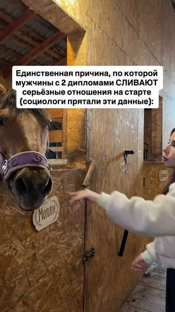 Читай описание 👇🏻