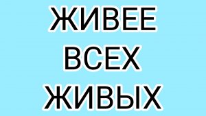 ДОМОСЕР  прискакал домой и  хвастается камнями