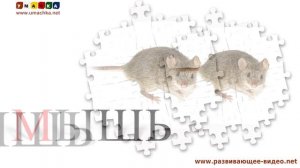 125. Учимся читать. Проверяем знания. Звуки животных (3)