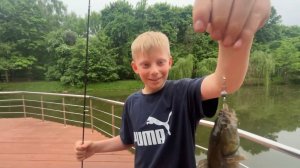 Ротан. Инструкция по ловле от нашего главного эксперта 🎣