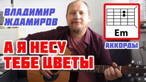 Я НЕСУ ТЕБЕ ЦВЕТЫ - ВЛАДИМИР ЖДАМИРОВ (АККОРДЫ БЕЗ БАРРЭ И ТЕКСТ) ПРОСТАЯ ПЕСНЯ НА ГИТАРЕ (РАЗБОР)