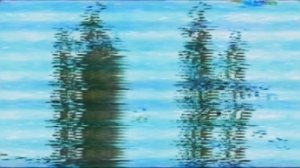 Medved_umer_v_mashine_leto2016.mp4