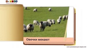 Как говорят животные (звуки животных) - развивающее видео для детей (1)