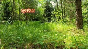 Мудро сказано.