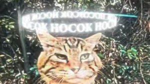 Майнкраффффффффтттттт!!!!!!!!!!!!!!!!!