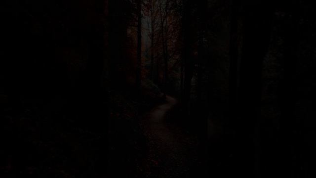 video_A month and the lifetime смотреть онлайн