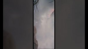 хищник планета 🪐 смерти фантастика