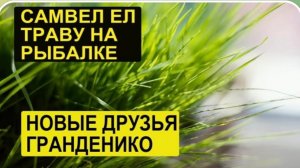 САМВЕЛ АДАМЯН, ОБЗОР ОТ СК, САМВЕЛ ЕЛ ТРАВУ НА РЫБАЛКЕ, ДАЛ ОТПОР МУЖИКУ, У ГРАНДЕНИКО НОВЫЕ ДРУЗЬЯ