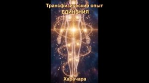ТРАНСФИЗИЧЕСКИЙ ОПЫТ ЕДИНЕНИЯ
