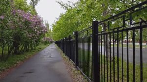 Обзор городского парка/Цветёт сирень/Воспоминания из молодости/Простая жизнь/Россия 🇷🇺