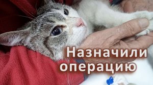 Назначили операцию