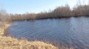жизнь на крайнем севере/очень много событий в одном ролике
