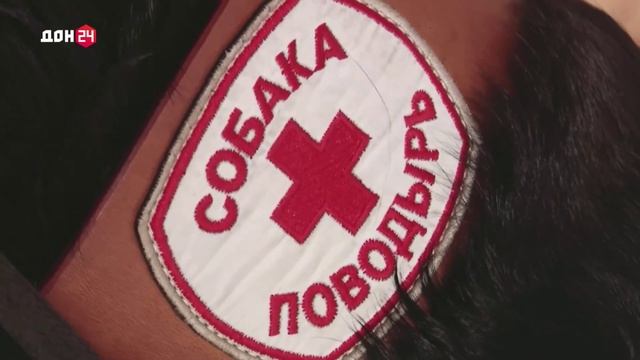 Видеть сердцем
