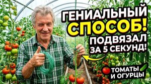 Как подвязать Томаты, Огурцы и помидоры Я в Шоке! придумал быстро