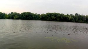 Мир дрожит.