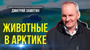 Как овцебыки и олени влияют на вечную мерзлоту