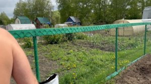Вспахали землю под газон. Сажаем на даче газон. Сажаем туи вдоль забора, гортензии, можжевельник.