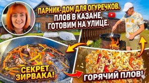 Парник-дом для огуречков. Плов в казане, готовим на улице.
