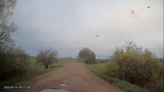 Аисты на дороге смотреть онлайн