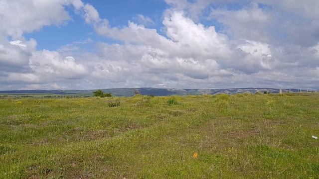 VID_20260514_152702