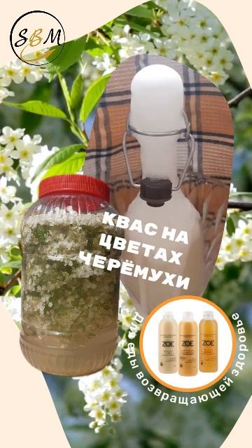 Квас на цветах черёмухи без дрожжей!