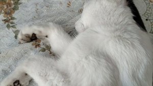 Нас стало меньше.18-05-2026